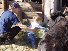 Picture of Madison petting a yak