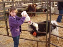 Picture of Katie feeding Roo